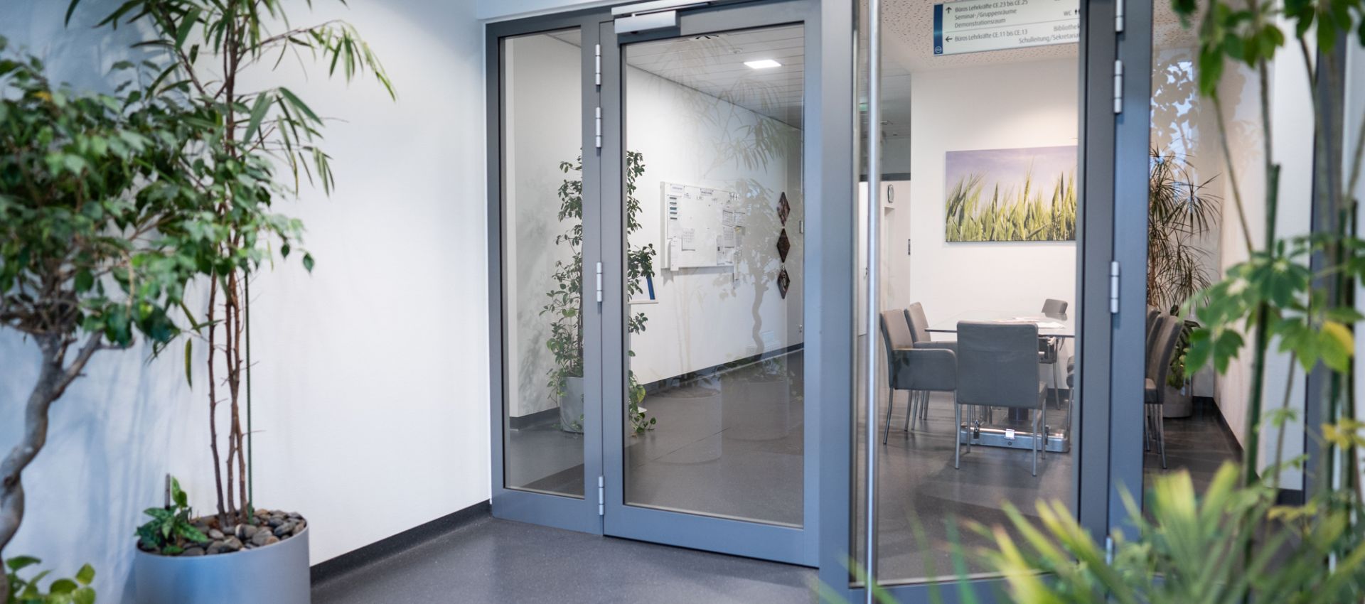 Blick in den modernen Eingangsbereich der Pflegeschule mit Glasdoppeltür. Im Inneren stehen Tische und Stühle, die Wände sind hell, und mehrere grüne Pflanzen sorgen für eine freundliche Atmosphäre.