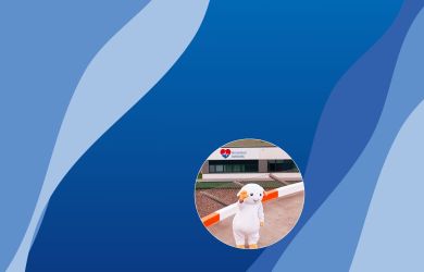 Gestaltetes Bild mit blauem Hintergrund und welligen Farbflächen. Im eingesetzten Foto ist EVA, das Schaf und Maskottchen des Klinikverbunds, auf dem Dach zu sehen. EVA winkt, im Hintergrund ist das Logo des Herzzentrums sichtbar.